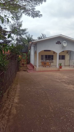 kigali-house-for-sale-in-rebero-rujugiro-big-6
