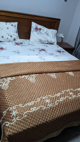 6-kibagabaga-fully-furnished-apartment-for-rent-big-7