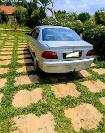 toyota-avensis-big-1