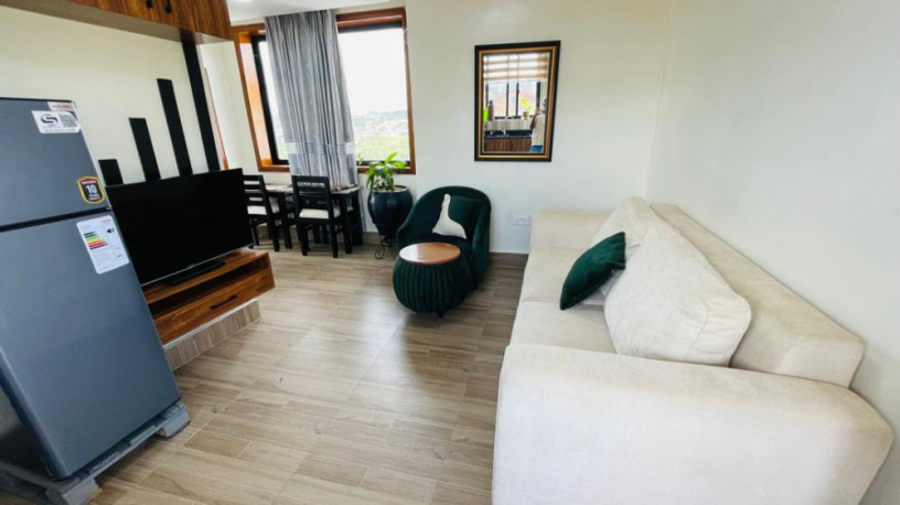 remera-fully-furnished-apartment-for-rent-in-kigali-big-0