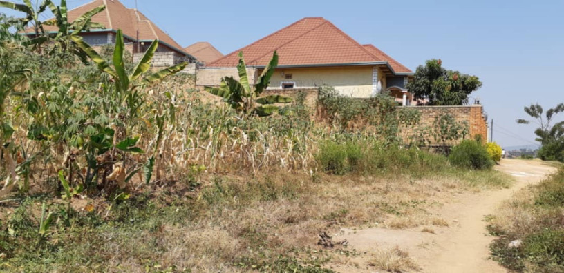 kimironko-zindiro-plots-for-sale-50m-big-0