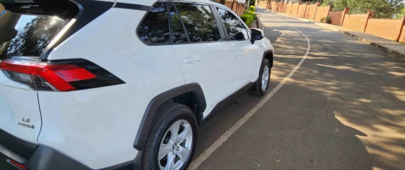 toyota-rav4-hybrid-2019-for-sale-big-0