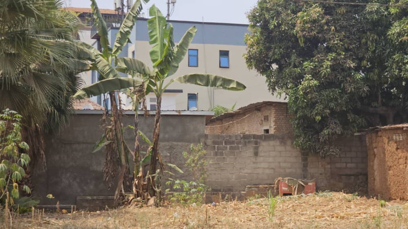 gikondo-big-2