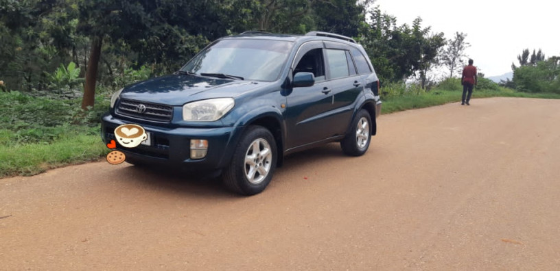 toyota-rav4-big-3