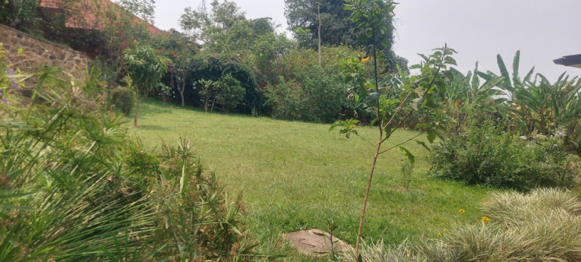 semi-furnished-house-available-for-rent-at-kiyovu-big-8