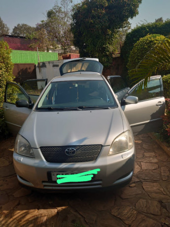 toyota-corolla-big-2