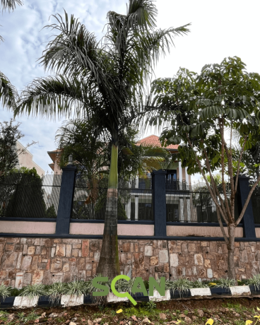 family-house-for-rent-in-kigali-rusororo-big-1