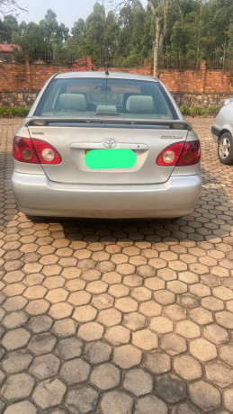 toyota-corolla-big-1