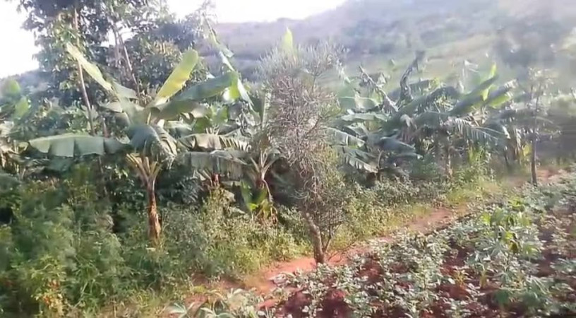 farmland-for-sale-at-kirehe-mpanga-big-0
