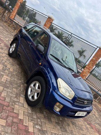 rav4-big-1