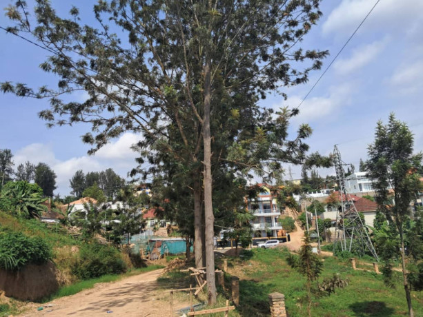kibagabaga-big-2