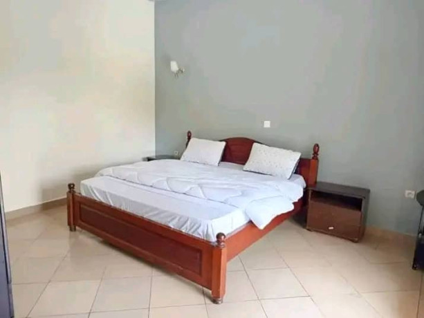 call-kibagabaga-full-furnished-house-for-renr-big-10