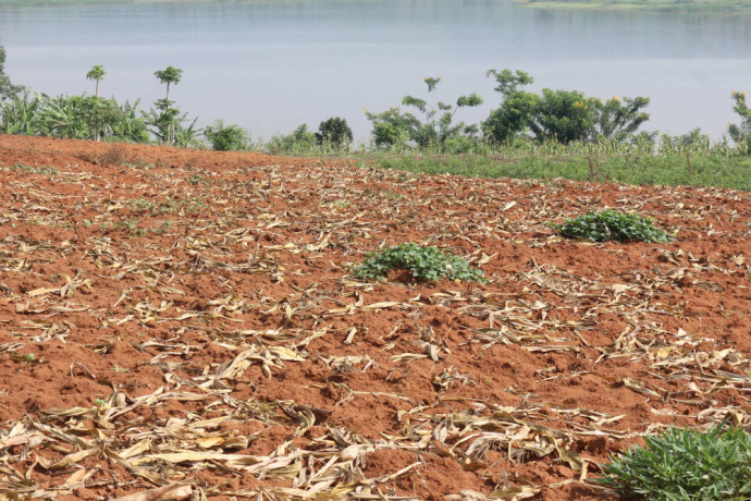 land-for-sale-in-bugesera-near-airport-access-on-lake-big-2