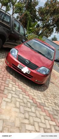 corolla-big-2