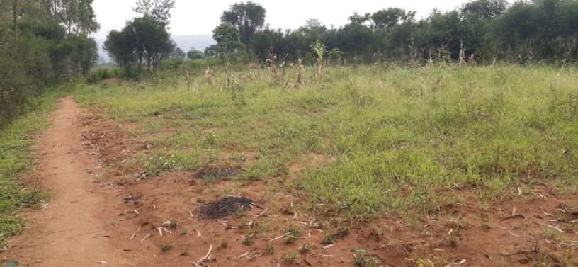 land-for-sale-in-bugesera-near-airport-of-rwanda-big-2