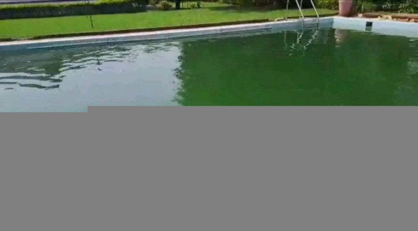 kigali-pool-house-available-for-rent-in-kiyovu-big-4