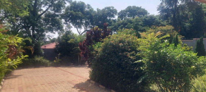 kigali-house-for-rent-in-kiyovu-near-national-bank-big-2