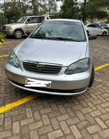 toyota-hatchback-big-2