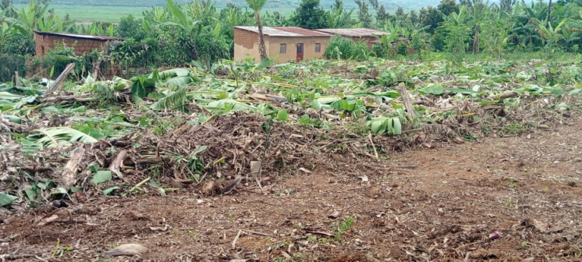 property-for-sale-in-masaka-big-1