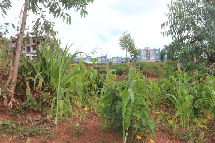 plot-for-sale-in-bugesera-near-airport-hot-deal-big-2
