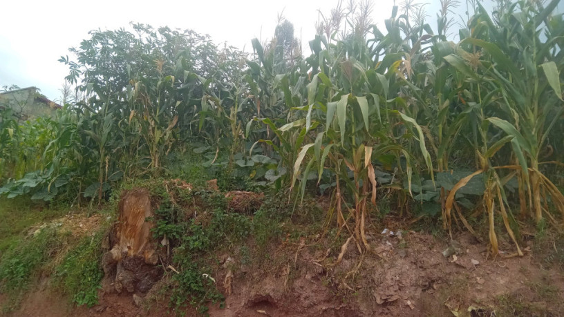 kigali-land-for-sale-in-gisozi-big-2