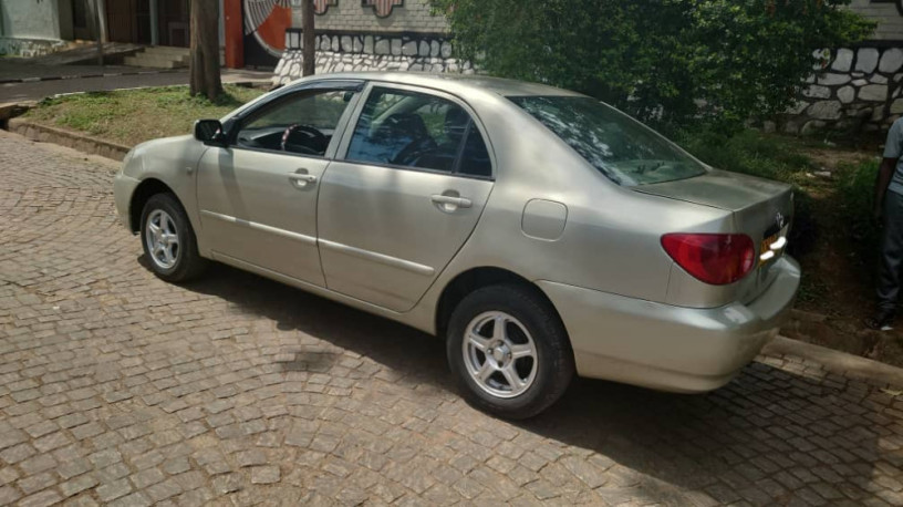 toyota-corolla-big-1