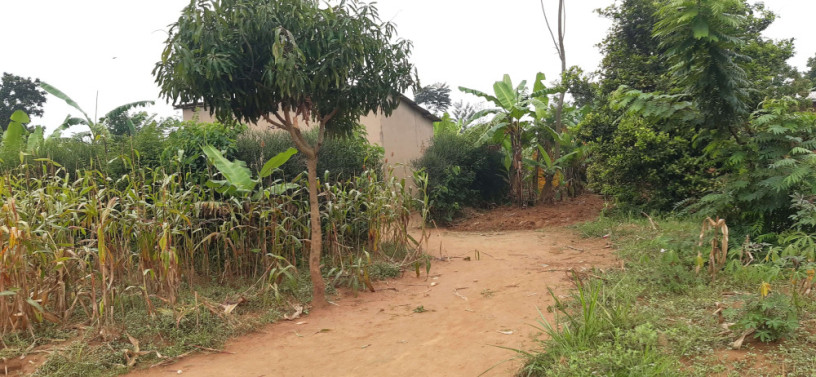 residential-plot-for-sale-in-bugesera-near-airport-hot-deal-big-0