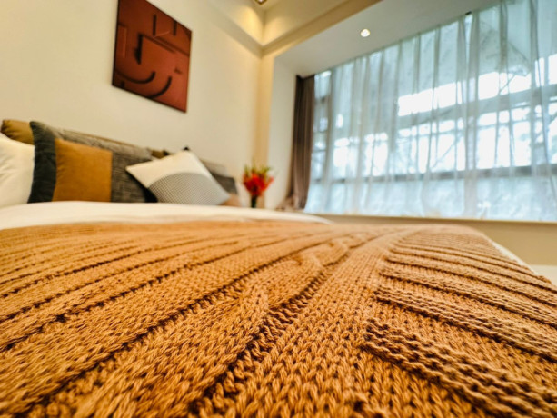 kiyovu-very-nice-luxurious-apartment-for-rent-in-kigali-big-8