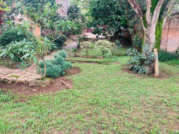 ep-109-nyarutarama-nyarutarama-very-nice-big-house-for-sale-with-big-plot-big-2