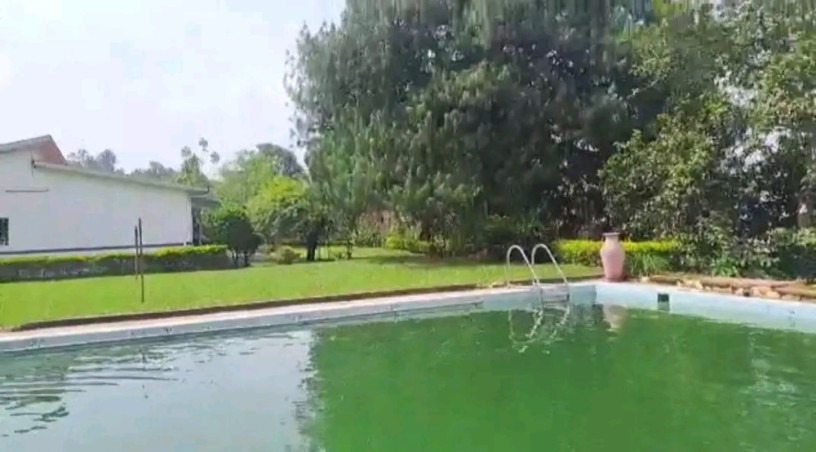kigali-pool-house-available-for-rent-in-kiyovu-big-1