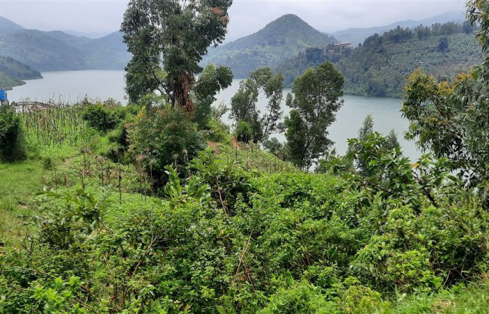 kibuye-karangi-plot-for-sale-big-3