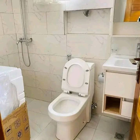 kibagabaga-2bed-2-bath-furnished-apartment-for-rent-in-kigali-big-7