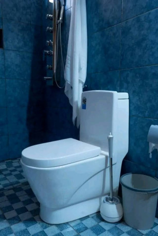 full-furnished-house-for-rent-in-rebero-big-9