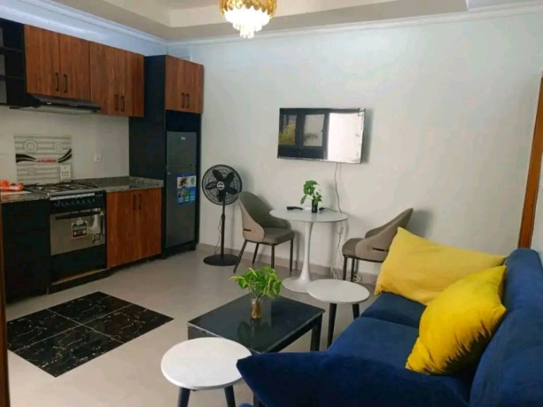 gishushu-fully-furnished-2bedrooms-apartment-for-rent-at-800-in-good-location-big-6