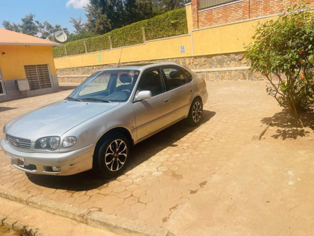 toyota-corolla-big-2