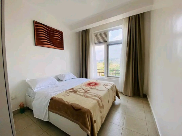 bs-62-fully-furnished-apartment-for-sale-in-kagugu-big-4