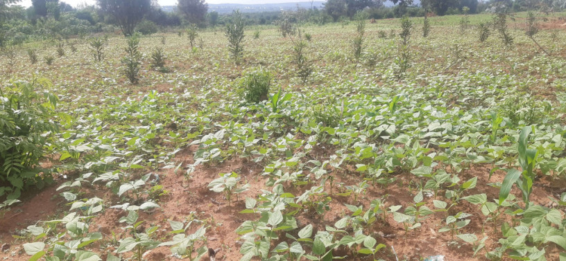 commercial-land-for-sale-in-bugesera-on-main-road-from-airport-big-1