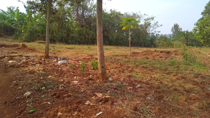 plot-for-sale-in-ndera-on-auctioncyamunara-big-7