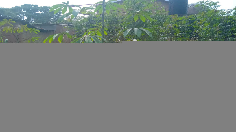 kigali-plot-for-sale-in-kinyinya-big-3