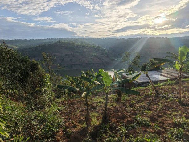 rwesera-muhazi-kingfish-gicumbi-plot-for-sale-big-4