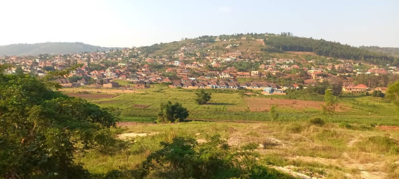 masizi-plo-for-sale-big-2