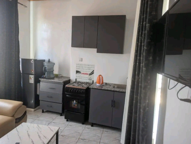 remera-fully-furnished-1bedroom-apartment-for-rent-500k-in-good-location-big-4