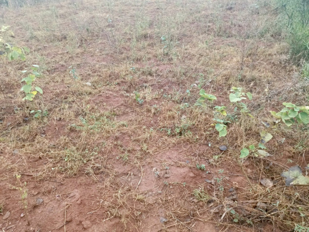 kigali-plots-for-sale-in-bugesera-kanzenze-big-1