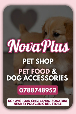 nova-plus-pet-shop-big-1