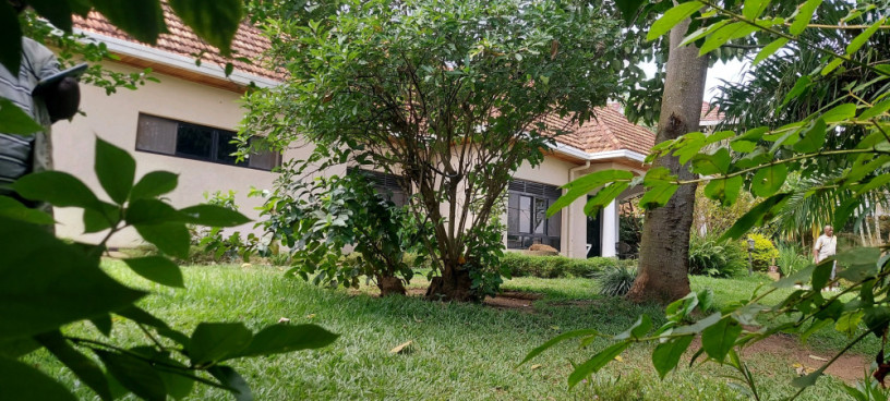 kigali-pool-house-available-for-rent-kacyiru-near-american-ambassador-residence-big-2