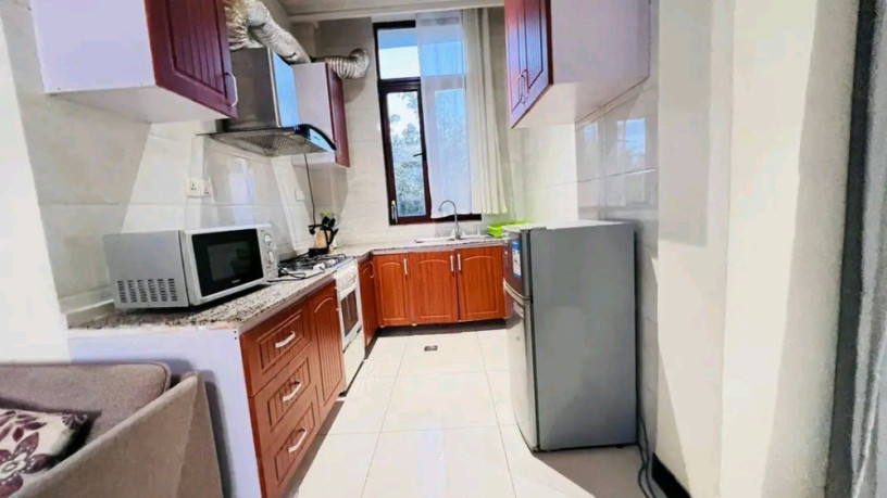 gishushu-near-rdb-furnished-apartment-for-rent-big-4
