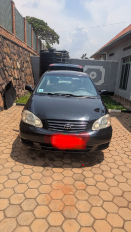 toyota-corolla-big-1