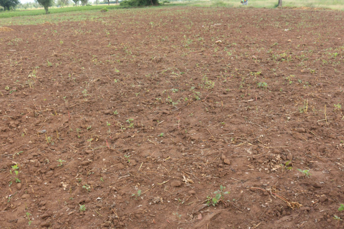 land-for-sale-in-bugesera-near-airport-of-rwanda-view-of-lake-big-0