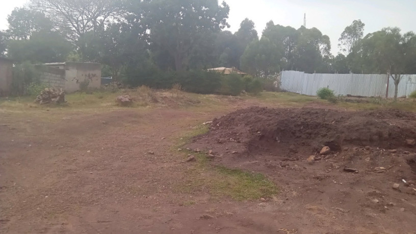 kigali-land-for-sale-in-rebero-big-5