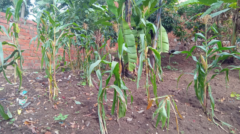 plot-for-sale-in-remera-big-12